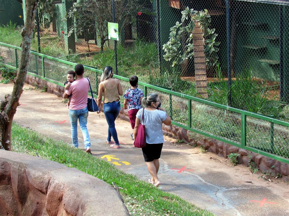 Zoológico da Cidade da Criança funciona de quinta a domingo, das 10h às 16h — Foto: AI/Cidade da Criança