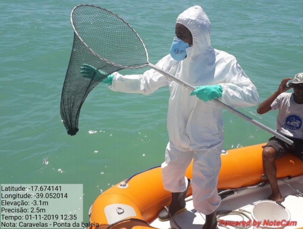 Vestígio recolhidos em área marítima próximo a ponta da Baleia-Caravelas — Foto: Divulgação/Marinha