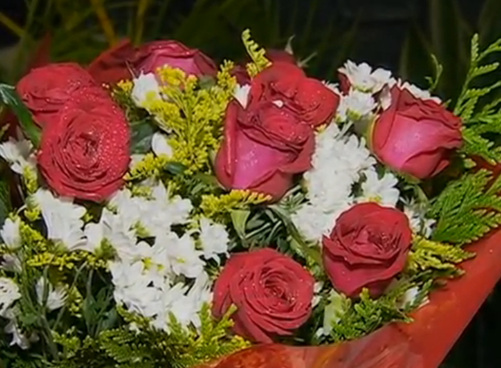 Flores E Alianca Sao Os Mais Procurados Para O Dia Dos Namorados Diz Procon Ma Maranhao G1 Todas as fotos estão disponíveis para download, inclusive para uso em projetos comerciais. dos namorados diz procon ma