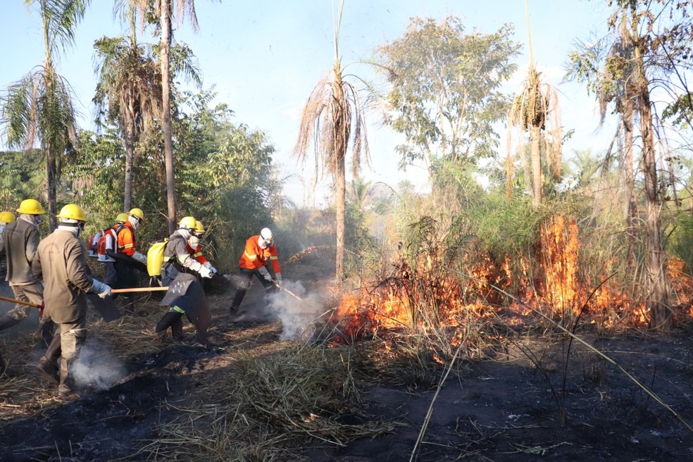Brigadistas vão atuar em incêndios no Pantanal de MT — Foto: Assessoria
