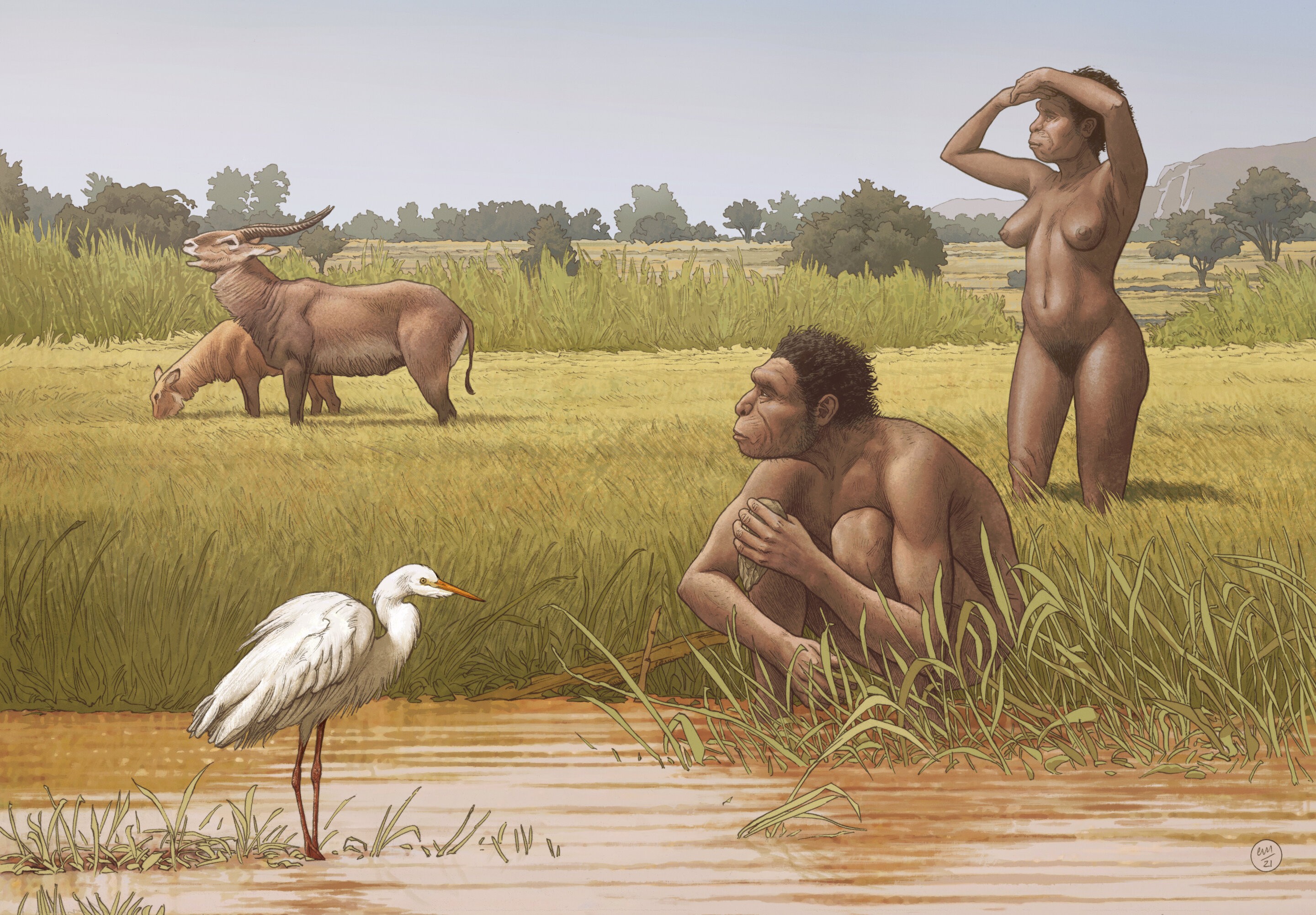 O ancestral humano Homo bodoensis viveu na África durante o Pleistoceno Médio (Foto: Ettore Mazza)