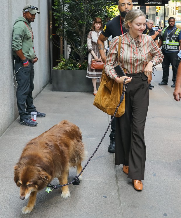 Amanda Seyfried e Finn, seu cachorro (Foto: Getty Images)