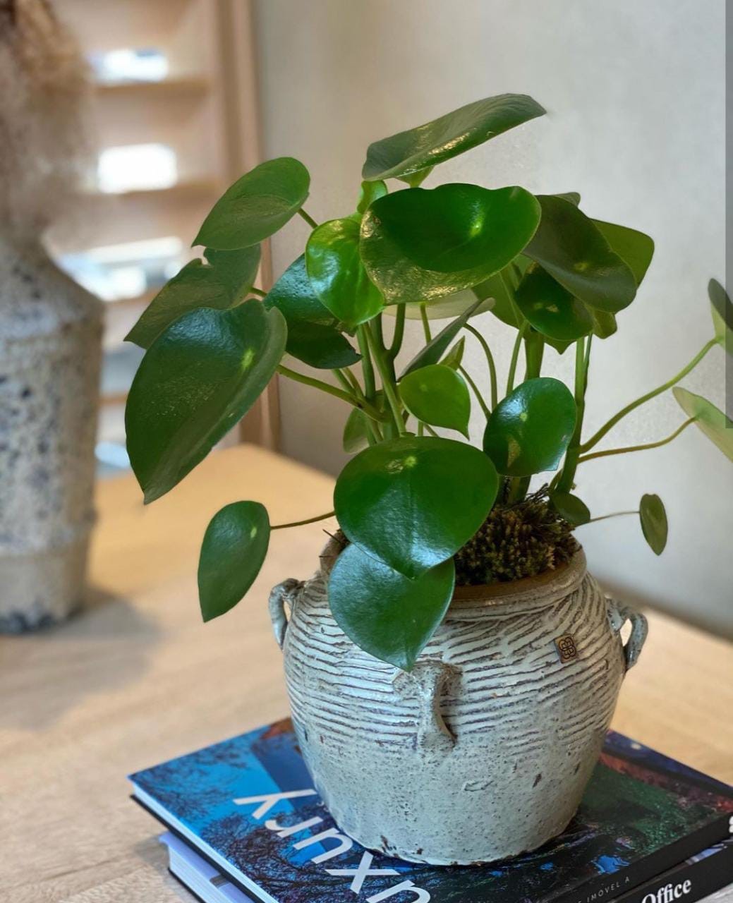 O vaso Brunei, da Organne, segue estética rústica e pode ser usado como vaso e item decorativo. Preço sob consulta — Foto: Organne / Divulgação