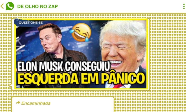 Grupos pró-Bolsonaro enxergaram movimento de Musk como derrota para a esquerda e torcem por retorno de Trump ao Twitter