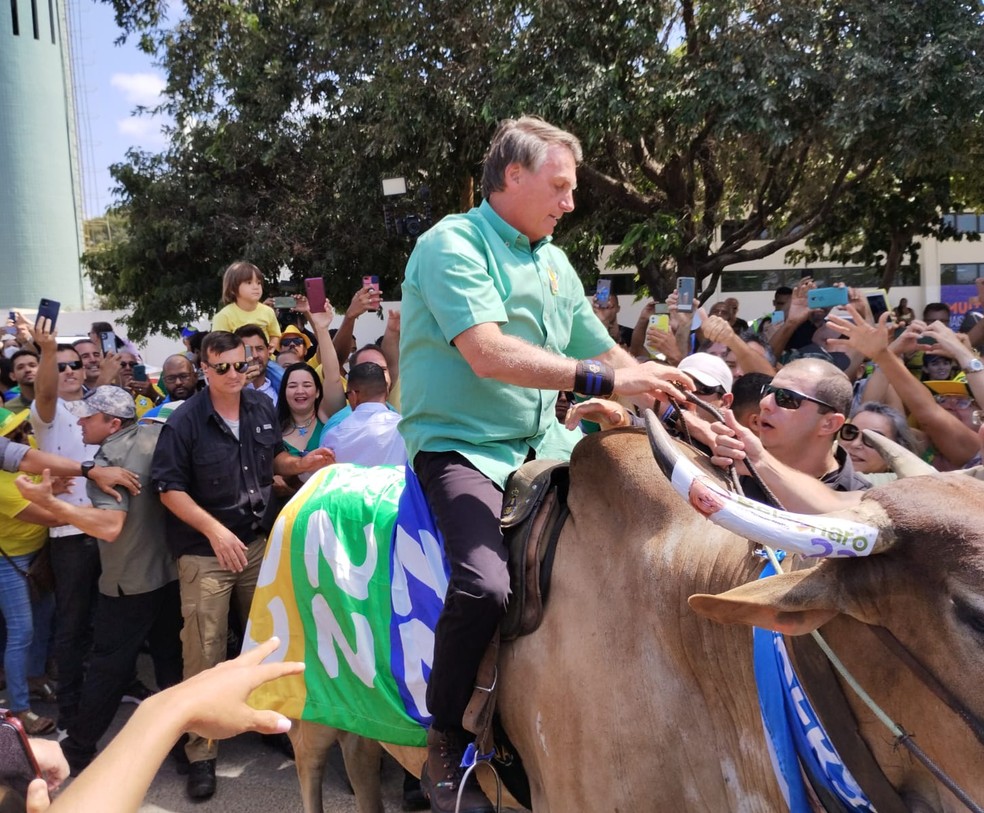 Bolsonaro monta em touro durante agenda de campanha em Petrolina (PE) — Foto: Emerson Rocha/g1