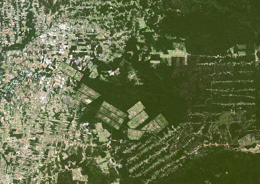 True colour satellite image showing deforestation in Amazonia in the State of Mato Grosso, Brazil. Image taken on 18 June 2000, using LANDSAT data., Deforestation, Mato Grosso, Brazil, In 2000, True Colour Satellite Image (Photo by Planet Observer/Univers (Foto: Universal Images Group via Getty)