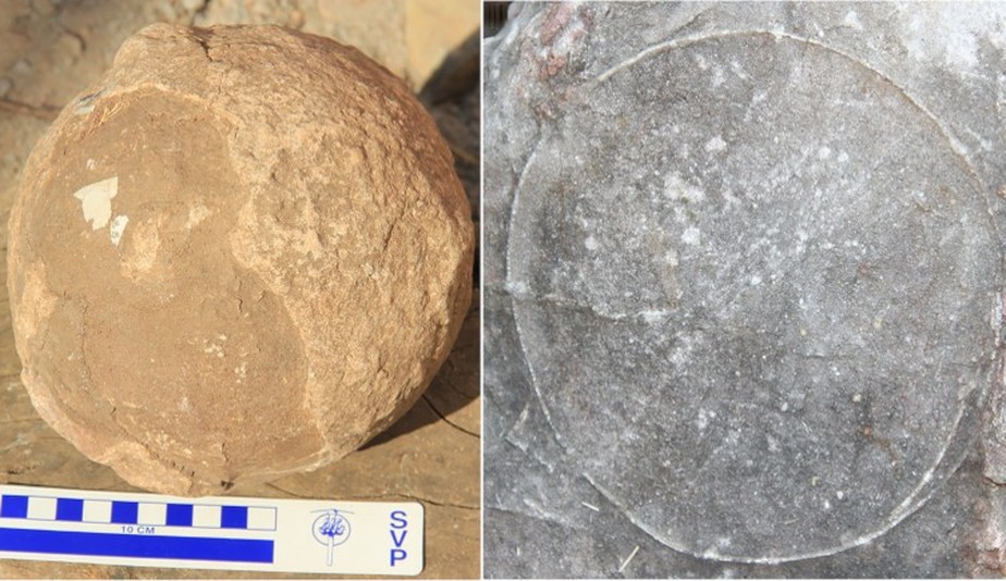Mais de 250 ovos de titanossauro foram descobertos na Índia