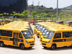 Novos ônibus escolares de Minas Gerais (Foto: Omar Freire/Divulgação)