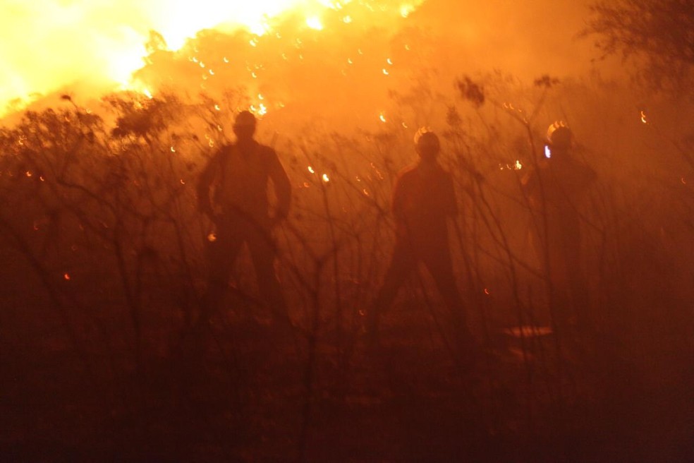 Incêndio atingiu Vale dos Três Morros, na Chapada Diamantina, e destruiu vegetação — Foto: Brigadistas 