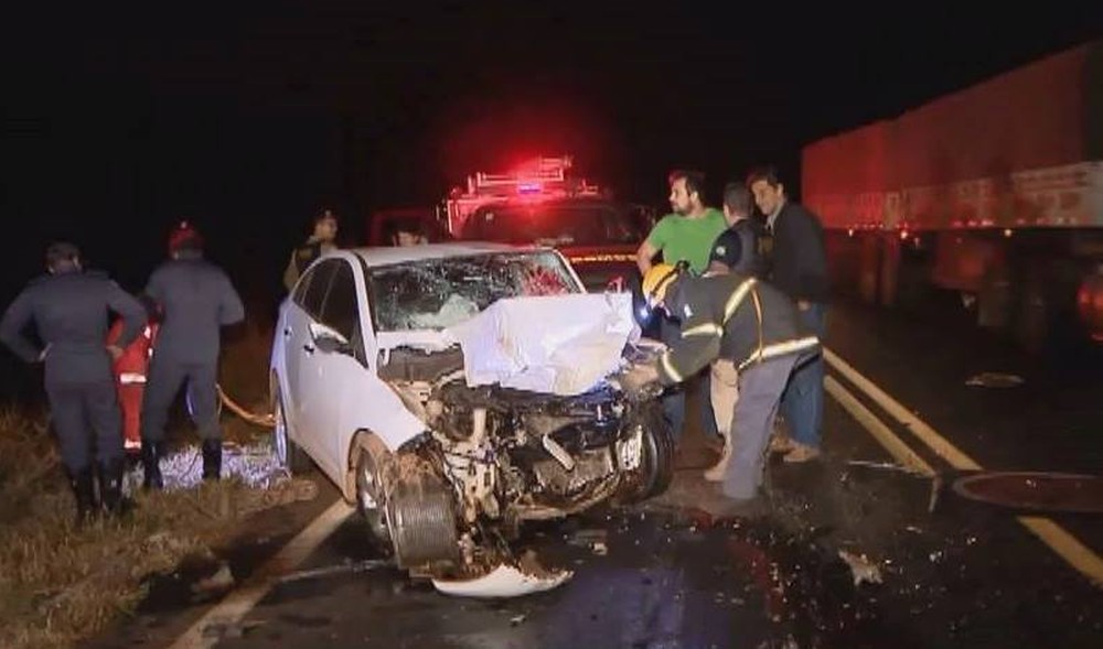 Motorista tenta desviar de lobo-guará e bate carro na BR-365 em Uberlândia; acidente deixa morto e feridos