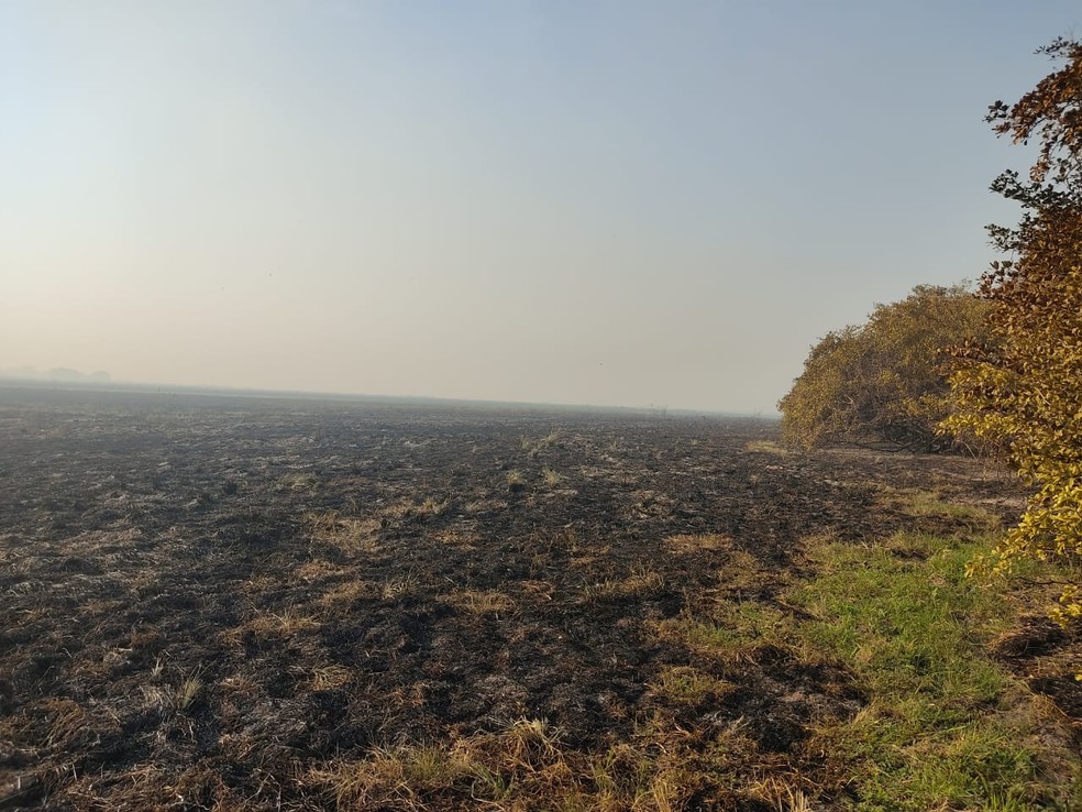 Parte da área queimada na Serra do Amolar, em MS — Foto: Ibama/Divulgação
