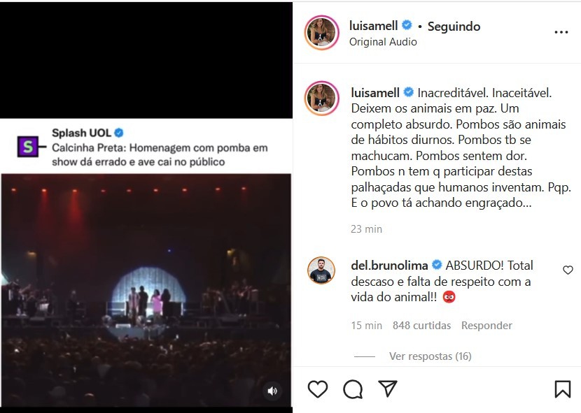 Luisa Mell e Bruno Lima criticam homenagem com pomba em show do Calcinha Preta (Foto: Reprodução/Instagram)