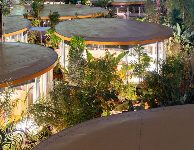 Coworking em Los Angeles é rodeado por jardim com mais de 10 mil plantas (Foto: Iwan Baan/Divulgação)
