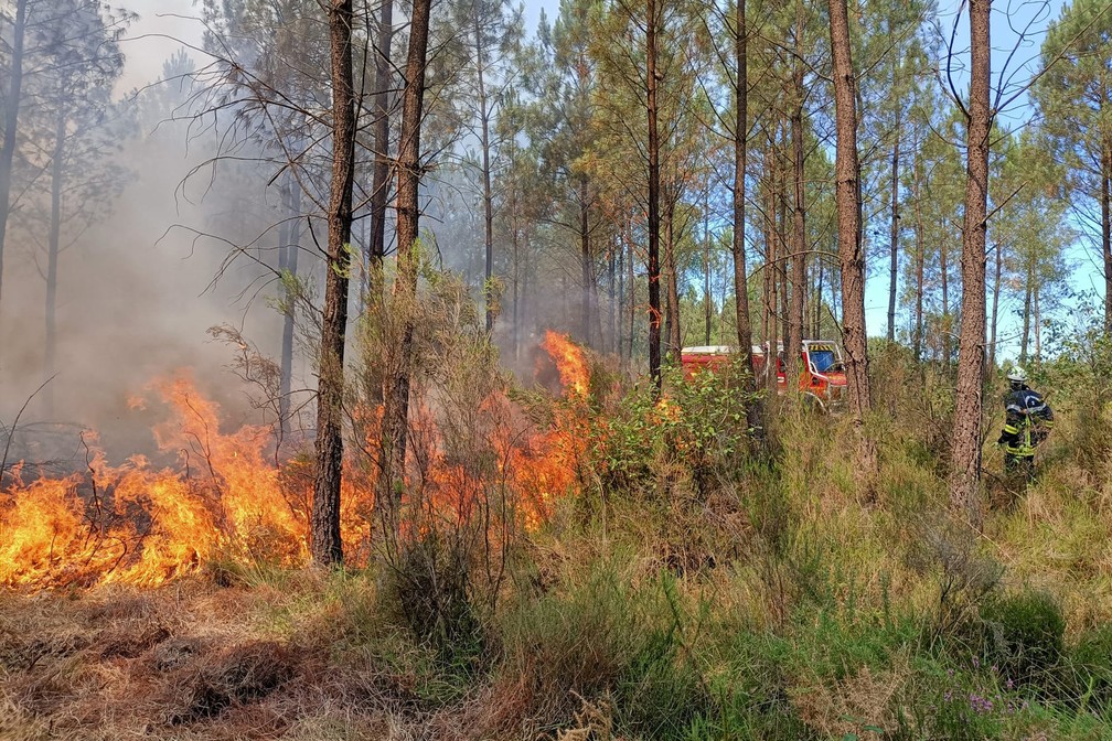 A foto, fornecida pelo corpo de bombeiros da região de Gironde, na França, mostra um incêndio florestal perto de Landiras, no sudoeste do país, na quarta-feira (13). — Foto: SDIS33 via AP