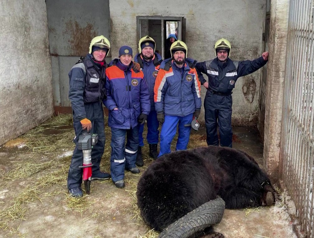 Equipe de resgate posa ao lado do urso Fyodor, após cortar pneu em que o animal estava preso, em um parque na Rússia — Foto: Ministério de Emergência da Rússia/Divulgação