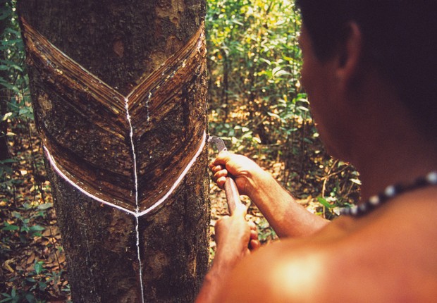 Seringueiros, floresta amazônica, amazônia, extrativismo (Foto: Getty Images)