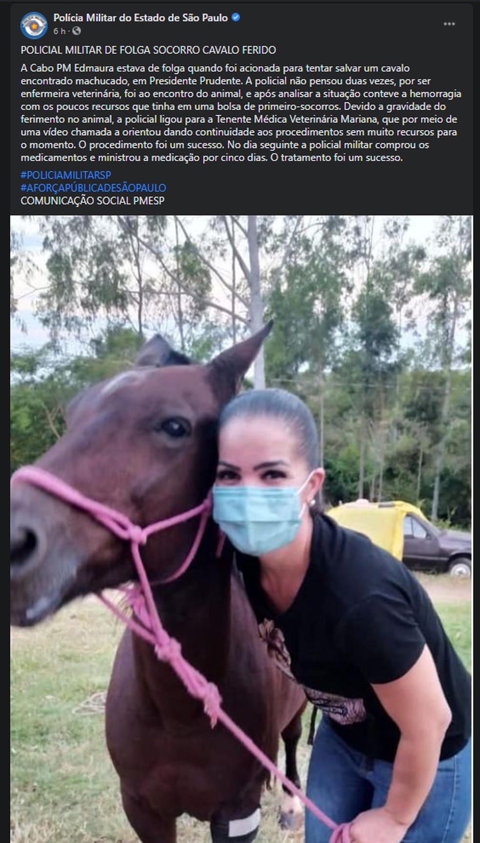 Salvamento foi divulgado nas redes sociais da PMESP — Foto: Reprodução/Facebook