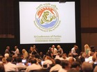 Financiamento da biodiversidade trava negociação da COP 11, na Índia