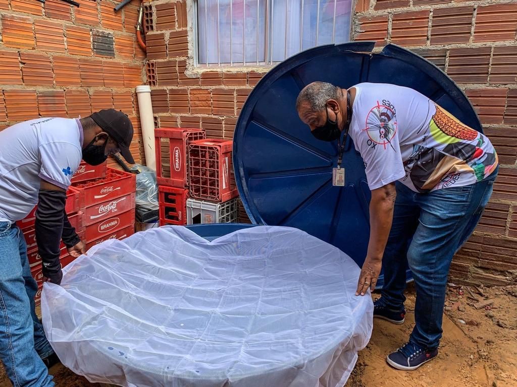 Segundo LirAa de 2022 aponta médio risco de infestação de Aedes aegypti em Petrolina