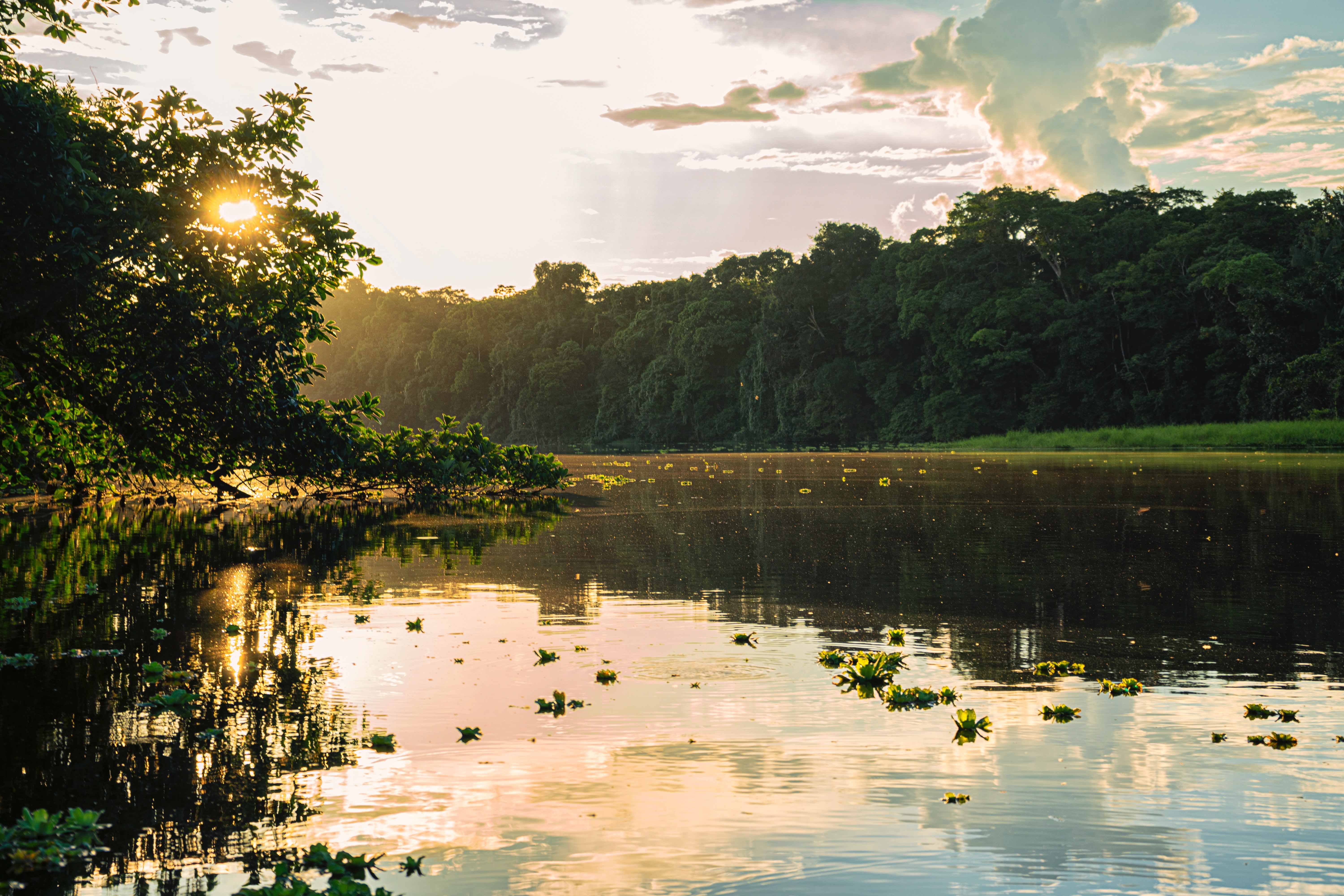 Aumento de CO2 na Amazônia pode reduzir chuvas em 12%, estima estudo. Acima: trecho da Amazônia equatoriana na cidade de Nueva Loja (Foto: Andrés Medina/Unsplash)