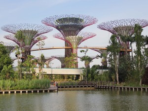 As 'Grandes Àrvores' se destacam na paisagem da região de Marina Bay, em Cingapura (Foto: Robson Daniel J. Barbosa/VC no G1)