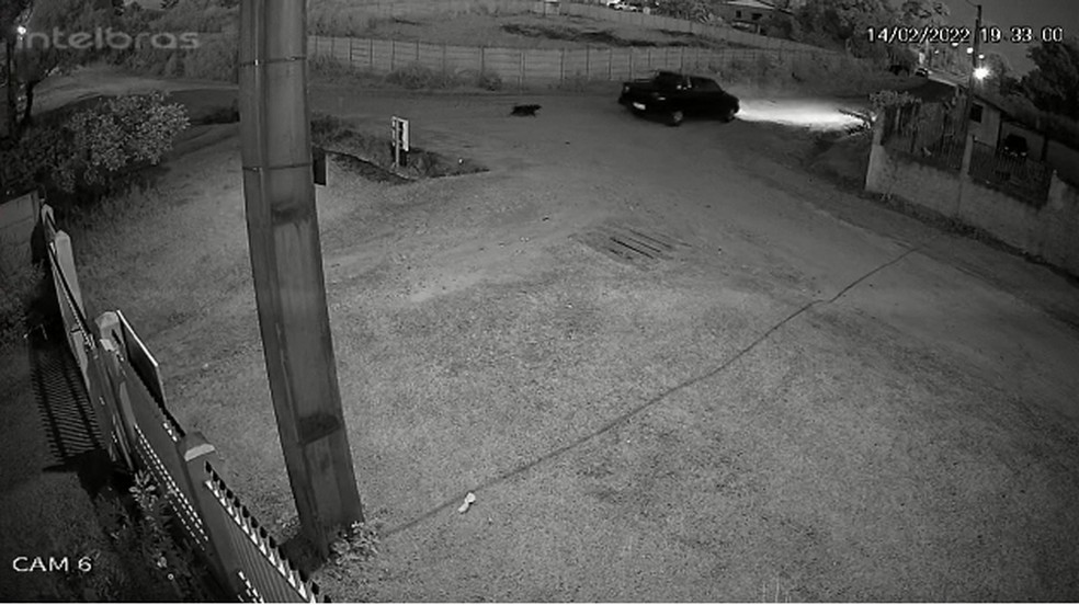 Cachorro é flagrado correndo atrás de carro após ser abandonado em Ponta Grossa — Foto: Reprodução/Câmera de segurança