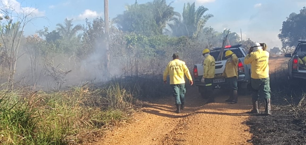 Equipe do Prevfogo está no local tentando conter avanço das chamas na BR-364, em Porto Velho.  — Foto: Cássia Firmino/Rede Amazônica