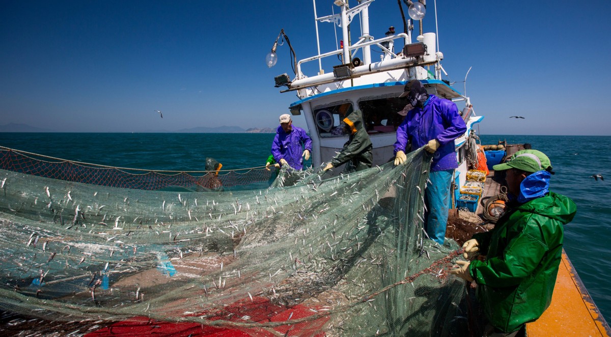 Pesca global tem US 22 bi