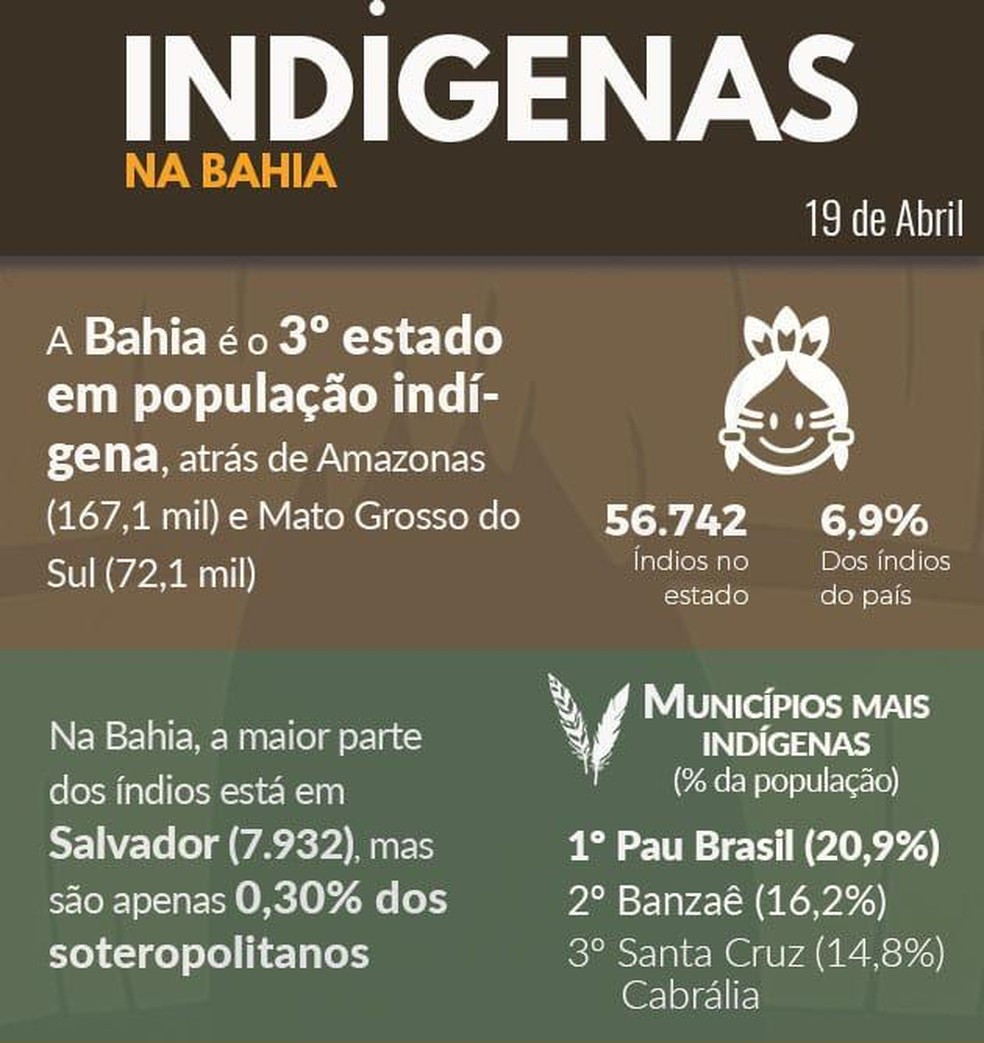 Número de índios na Bahia, segundo Censo 2010 — Foto: Divulgação/IBGE