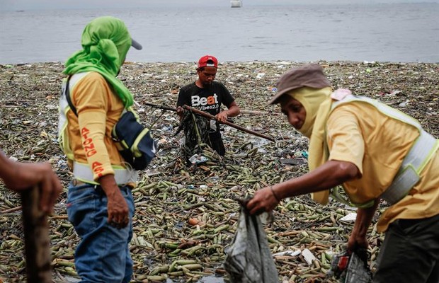 Nas Filipinas, trabalhadores retiram das águas o lixo trazido pelas enormes ondas do tufão Nida (Foto: Mark Cristino/EFE)