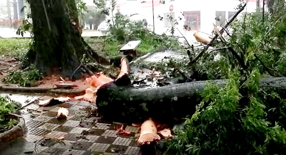 Temporal com ventos fortes e granizo derruba árvores e poste cai em cima de carro em Bauru — Foto: Arquivo pessoal