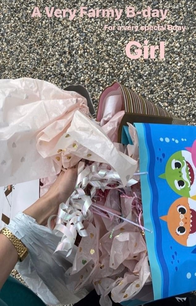 Bella Hadid revela as sacolas de presentes da festa de Gigi Hadid (Foto: Instagram Bella Hadid/ Reprodução)
