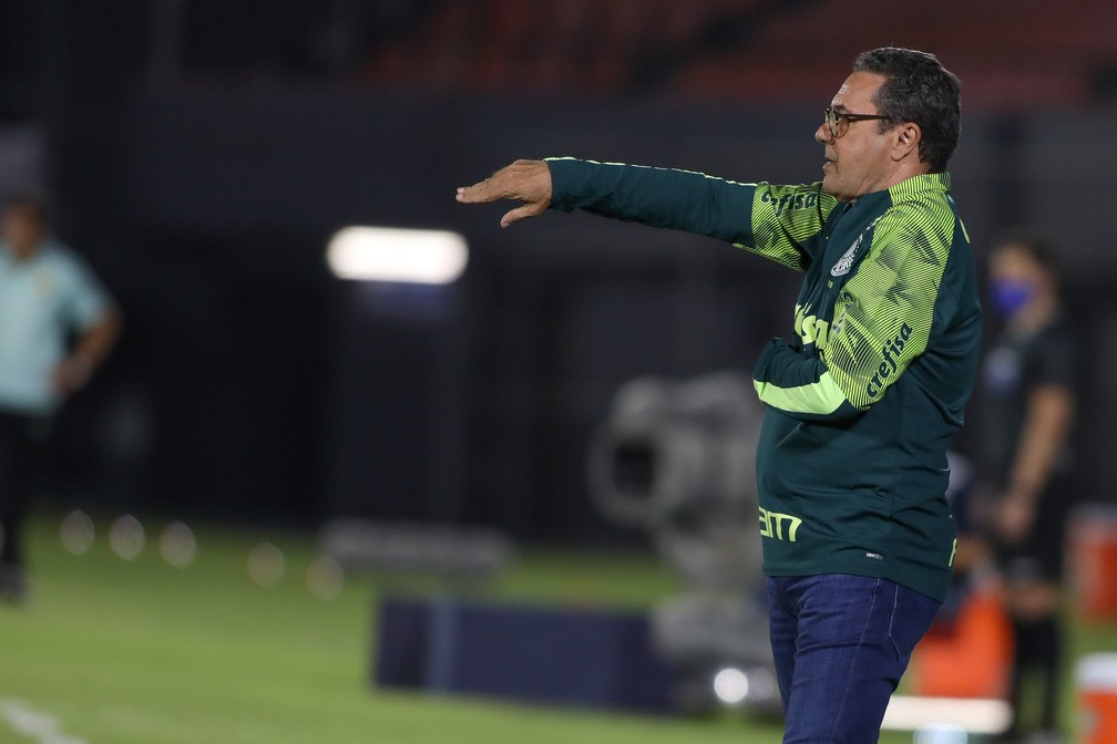 Vanderlei Luxemburgo no jogo entre Guaraní e Palmeiras — Foto: Staff Images/Conmebol