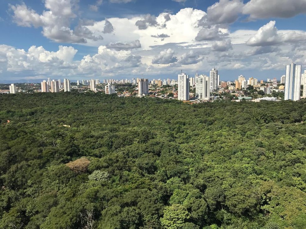 Considerada cidade verde, Cuiabá completa 301 anos  em 2020 no dia 8 de abril — Foto: Sema/MT