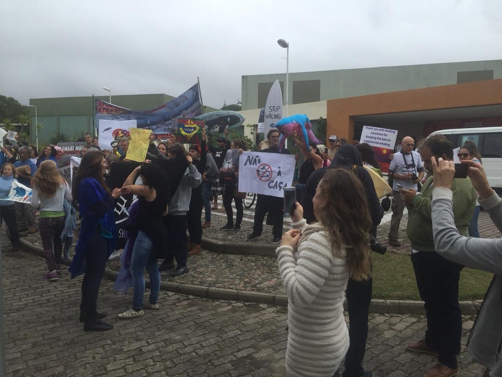 Ambientalistas protestam contra proposta de liberar caça às baleias — Foto: Mayara Vieira/NSC TV