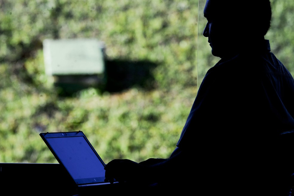 Trabalho por meio de internet em imagem de arquivo  — Foto: Jefferson Rudy/Agência Senado