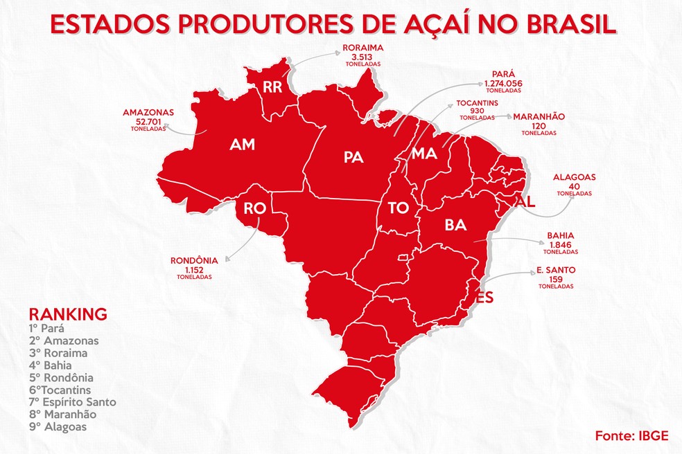Pará é responsável por 95% da produção de açaí no Brasil — Foto: Leandro Rodrigues