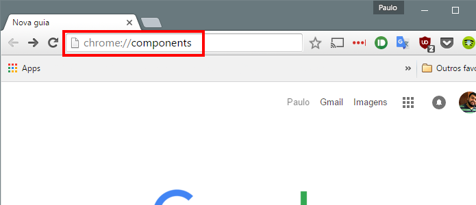 Acesse a lista de componentes do Chrome (Foto: Reprodução/Paulo Alves)
