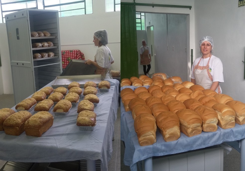 Padaria interna da Cooperativa de Produção Agropecuária Nova Santa Rita (Coopan) — Foto: Divulgação