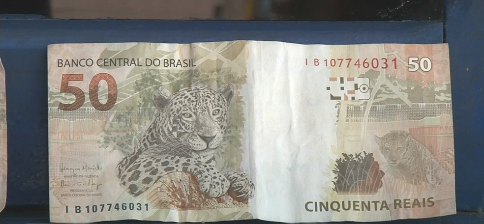 CÃ©dulas podem ser identificadas atravÃ©s de caracterÃ­sticas especÃ­ficas  â€” Foto: ReproduÃ§Ã£o/TV TapajÃ³s