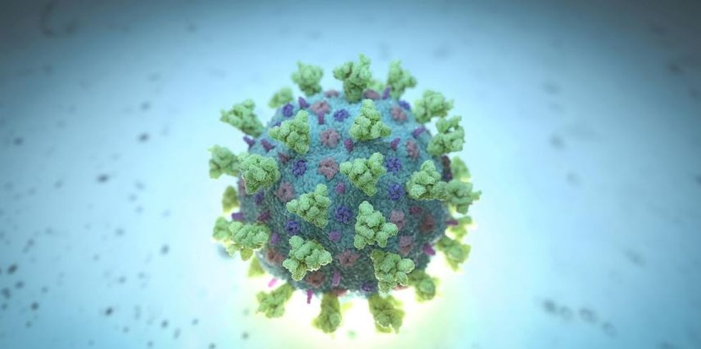 Imagem mostra um modelo estruturalmente representativo de um betacoronavírus, que é o tipo de vírus vinculado ao COVID-19 — Foto: NEXU Science Communication/via REUTERS