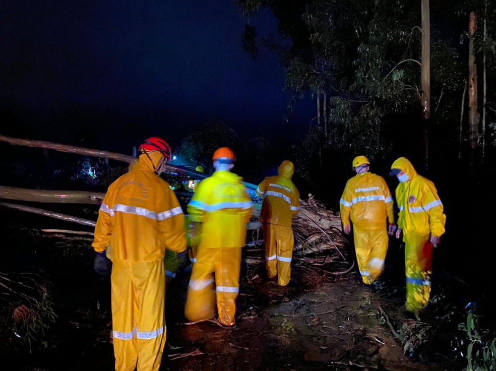 Bombeiros atendem à ocorrência de queda de árvore em Campos Novos — Foto: CBM/Divulgação