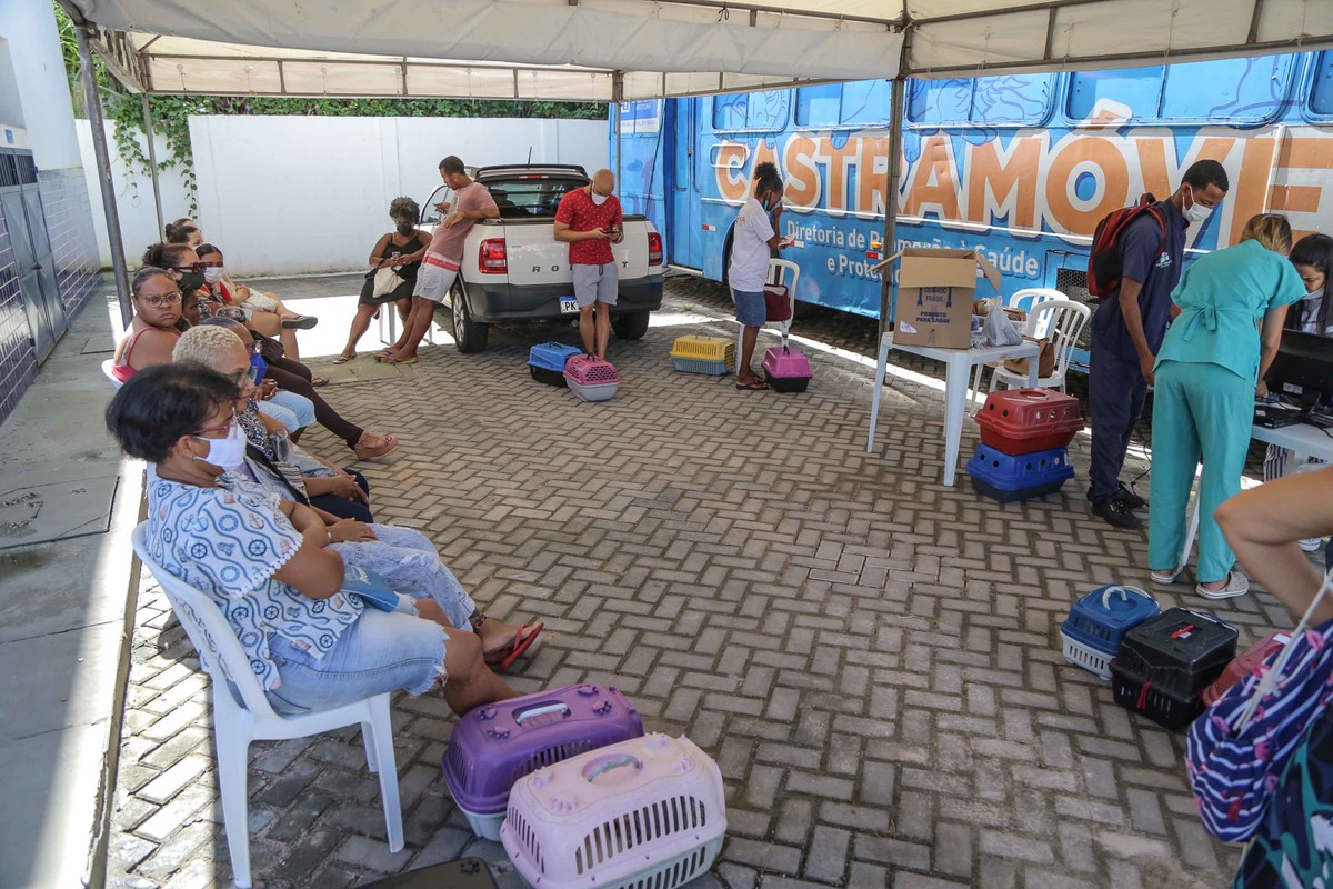 Castramóvel no bairro de Pernambuco, em Salvador, abre vagas para presencial |  Bahia