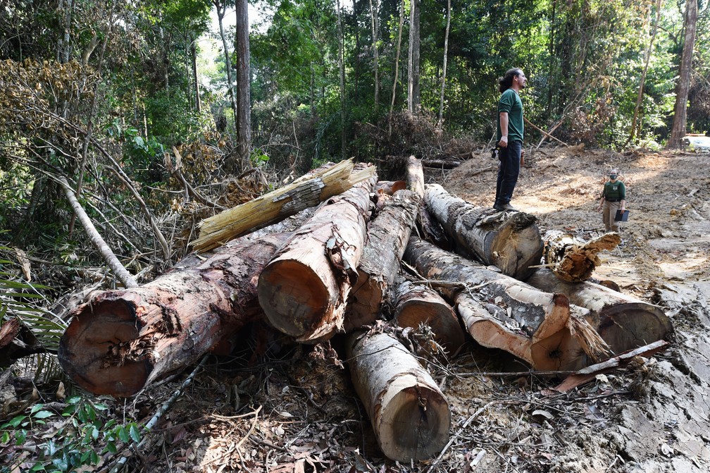 Autoridades do Pará fiscalizam área desmatada na Amazônia em Pacajá, a 620 km de Belém, em 22 de setembro de 2021.  — Foto: Evaristo Sá/AFP