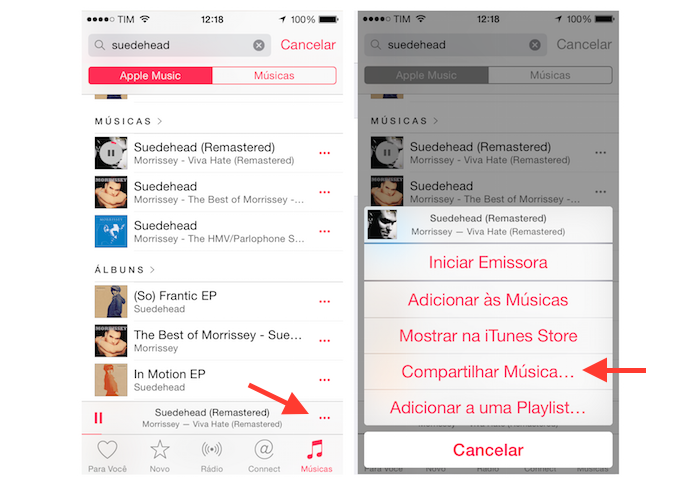 Acessando as opções de compartilhamento do Apple Music a partir da visualização de músicas (Foto: Reprodução/Marvin Costa)