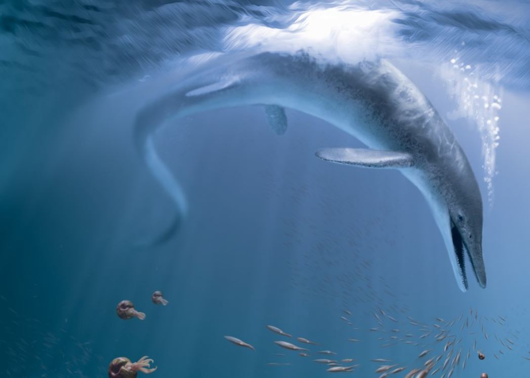 Ilustração do  C. Youngorum no oceano há 246 milhões de anos  (Foto: Stephanie Abramowicz)