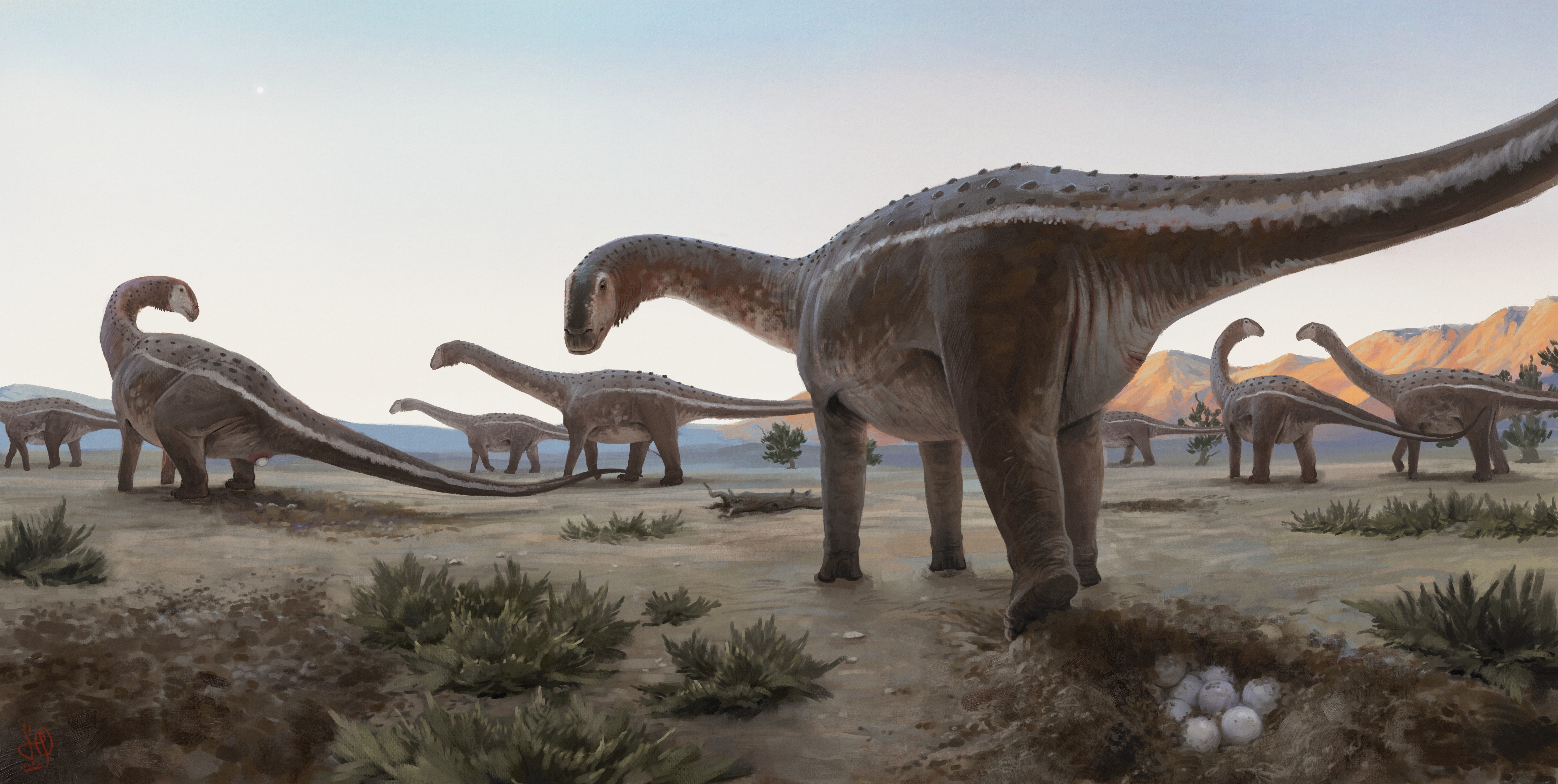 Ninho de ovos de dinossauro achado em Uberaba é o primeiro encontrado no Brasil