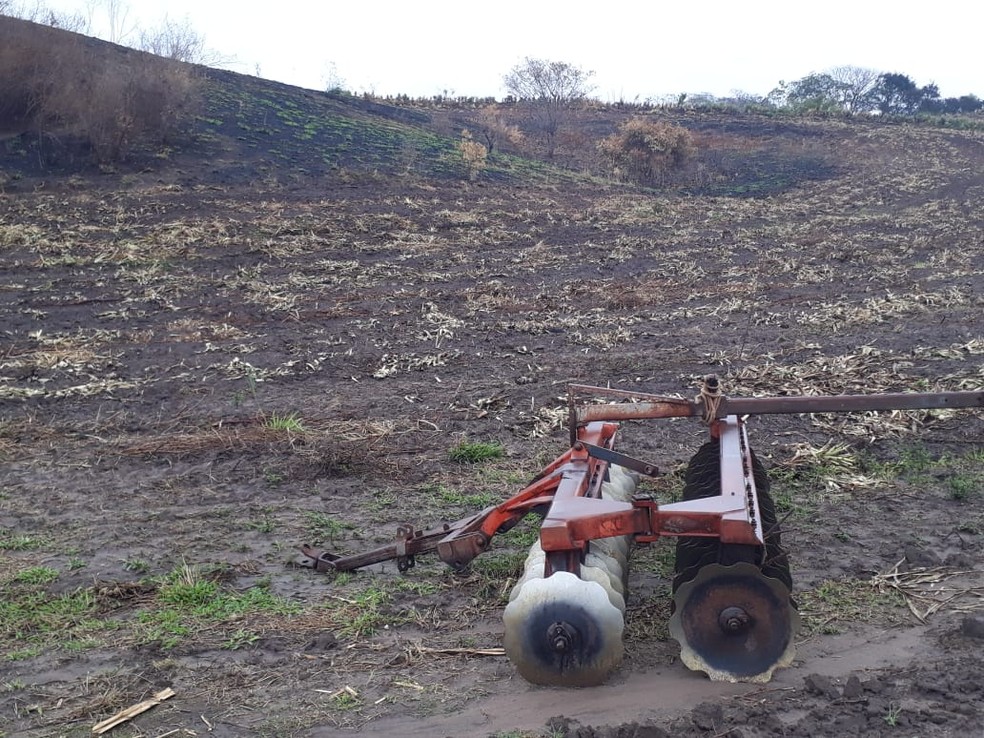 Áreas queimadas foram em Pacaembu e Marabá Paulista — Foto: Polícia Ambiental 