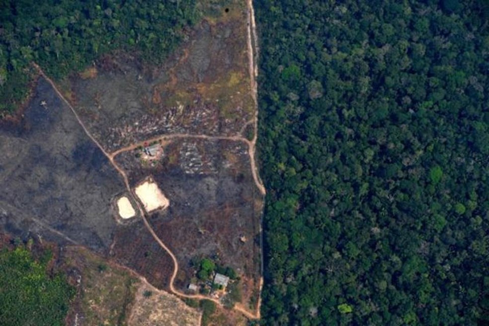 Entre os 10 indígenas assassinados, oito estavam na Amazônia — Foto: AFP