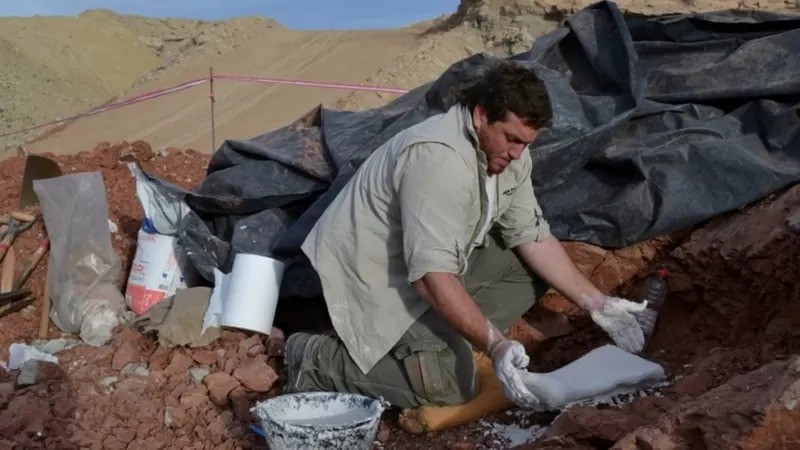 Uma equipe de paleontólogos descobriu os restos mortais na Cordilheira dos Andes da Argentina em 2012 (Foto: Reuters via BBC News)